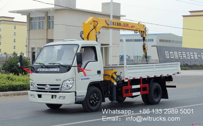Foton mini 2 to 3ton crane truck