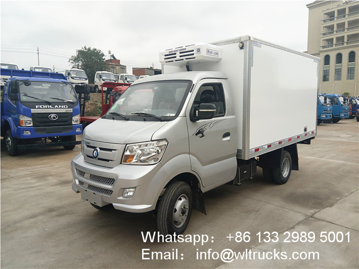 Sinotruk wangpai Oil and gas engine 2 ton freezer refrigerated truck