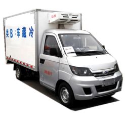 Chery Karry 1 ton mini refrigerator van truck