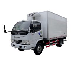 Dongfeng 3 ton frozen fish transport truck