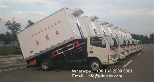 Dongfeng Pollution free treatment truck