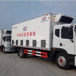 Dongfeng chicken trucks