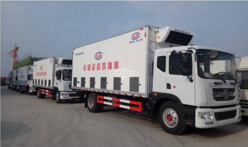 Dongfeng chicken trucks