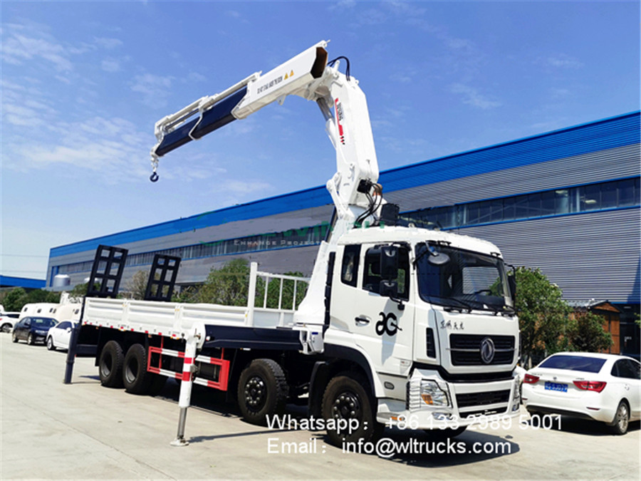 Folding arm truck mounted crane with hydraulic ladder