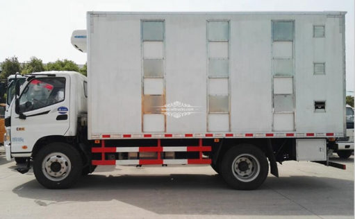 Foton 7.6m Chick transportation truck