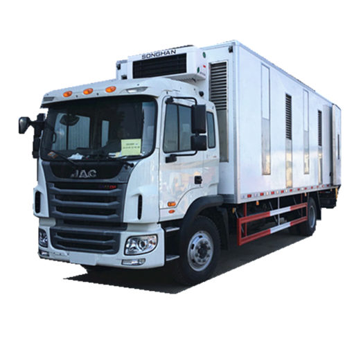 JAC 6.8 meter Chick transport truck