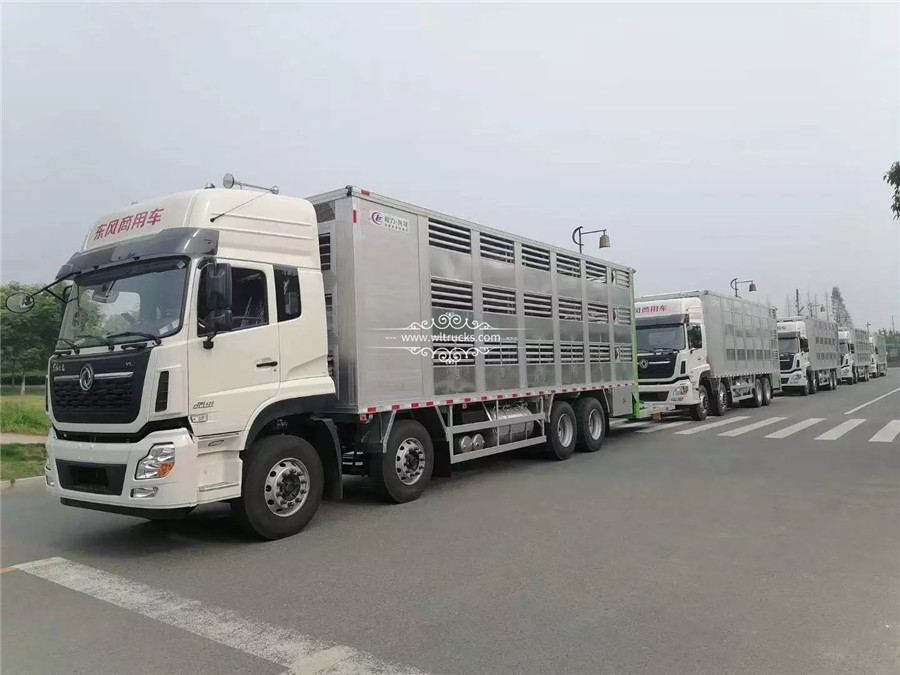 piggy transport trucks