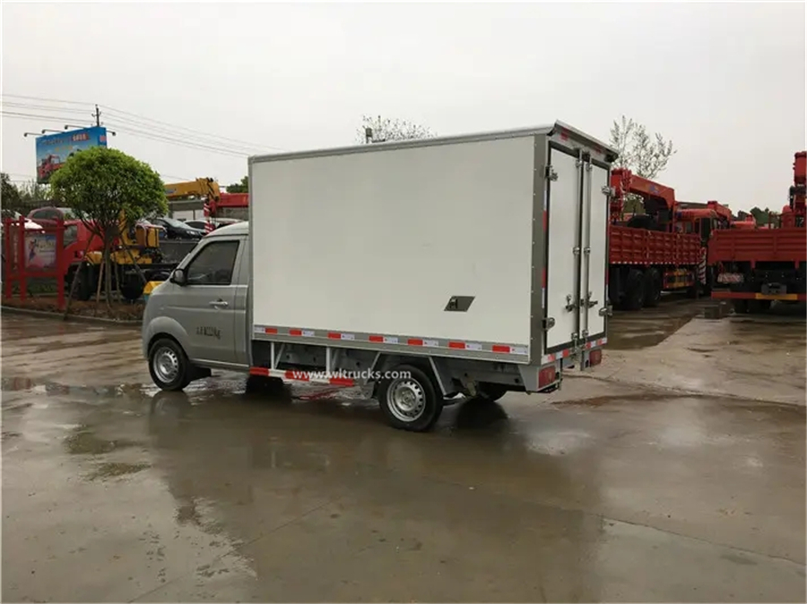 Mini refrigerator truck