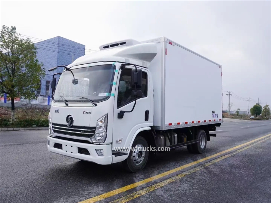Shacman Delong X3000 freezer truck