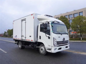 Shacman Delong freezer truck