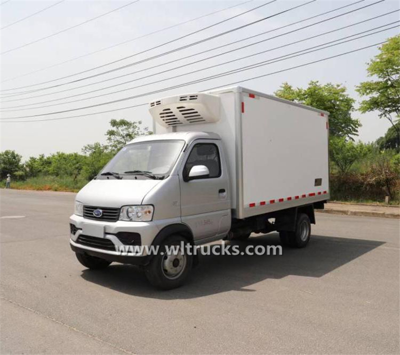 6 wheel Chery petrol mobile fridge truck