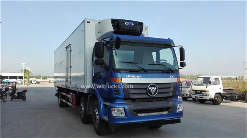 8 tire Foton auman 9.6meters freeze truck