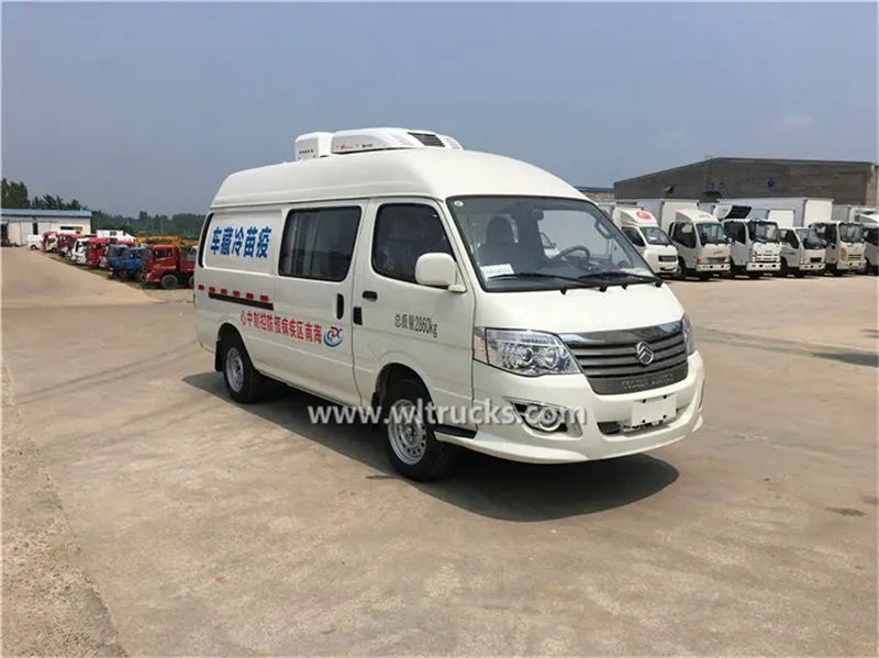 Golden Dragon minibus refrigerated sprinter van