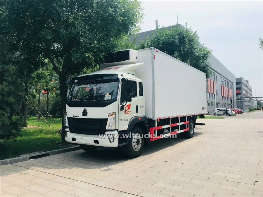 HOWO 20ft cold chain transport truck