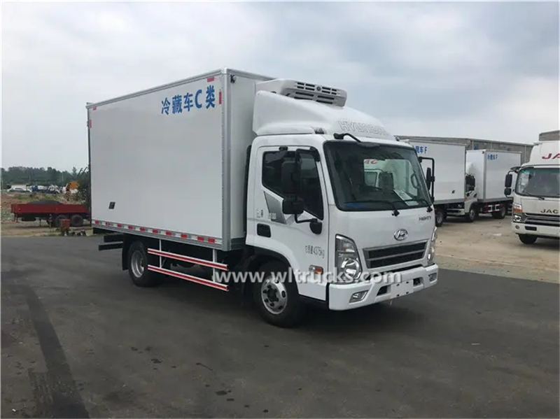 Hyundai 4 ton freezer truck