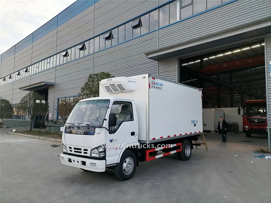 ISUZU 600P 17ft freezer trucks from japan