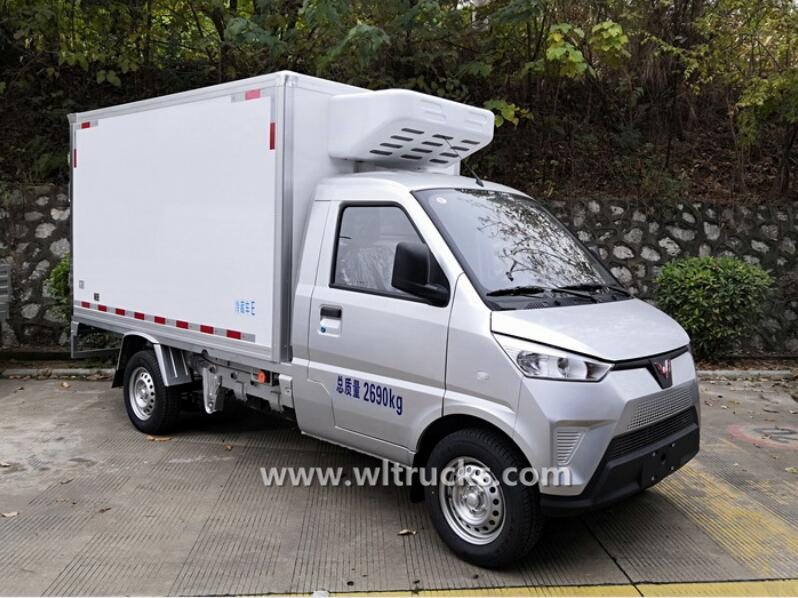 SGMW electric 1500kg frozen sweets food truck