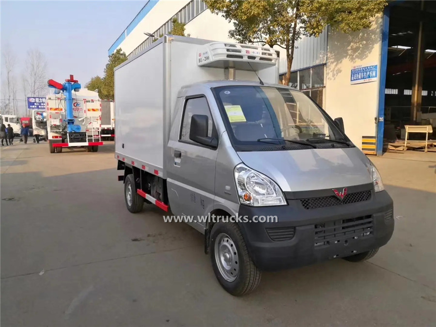 SGMW small petrol 1000kg frozen truck