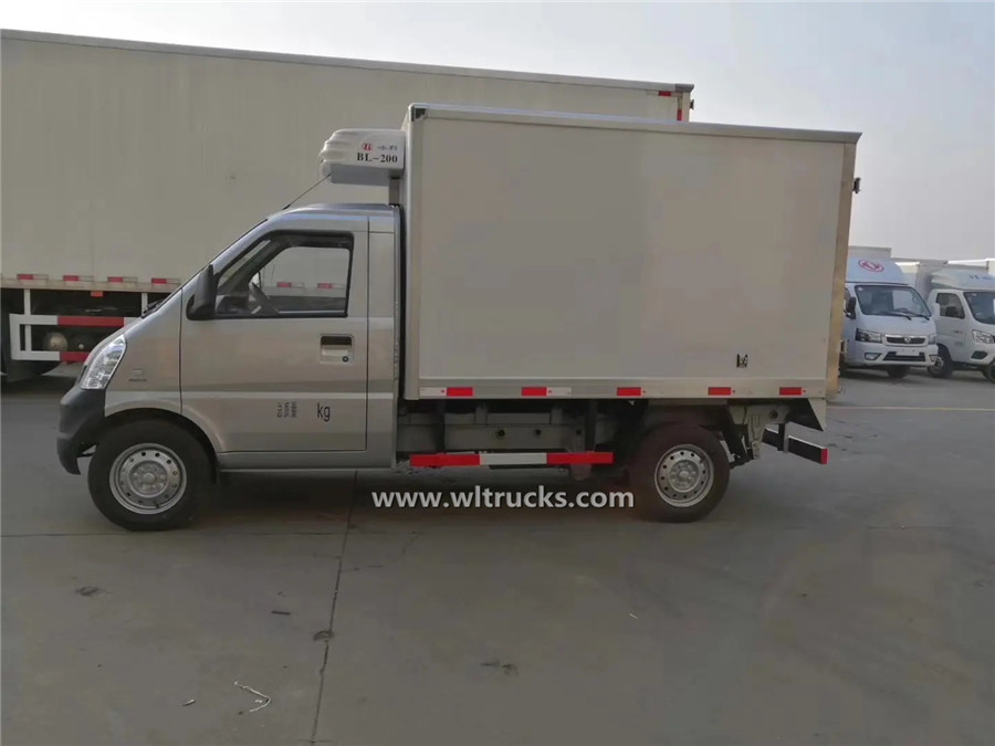 SGMW small petrol 1t freezer delivery truck