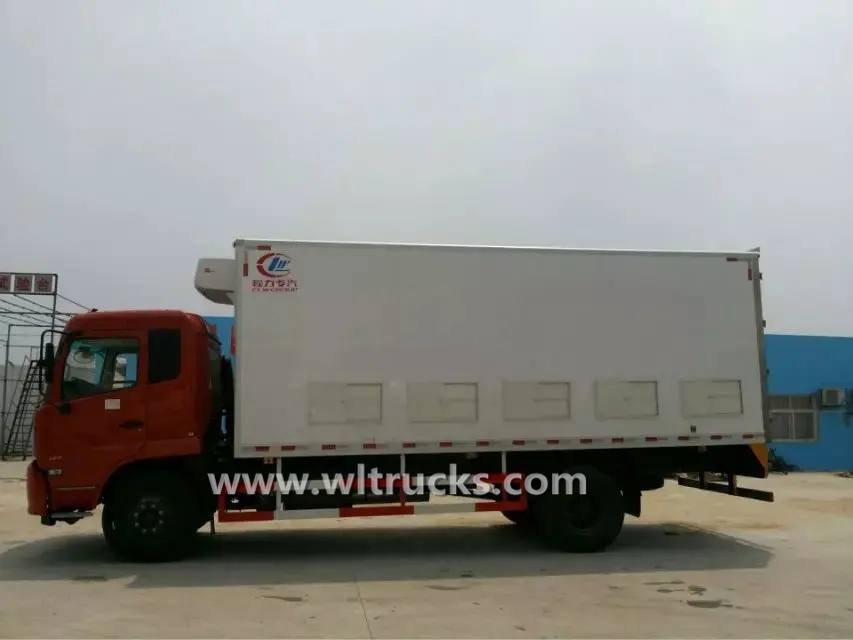Dongfeng Kinrun 37cbm day old chick transport truck