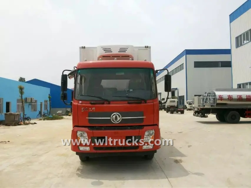 Dongfeng Kinrun 6.6 meters day old chicks truck