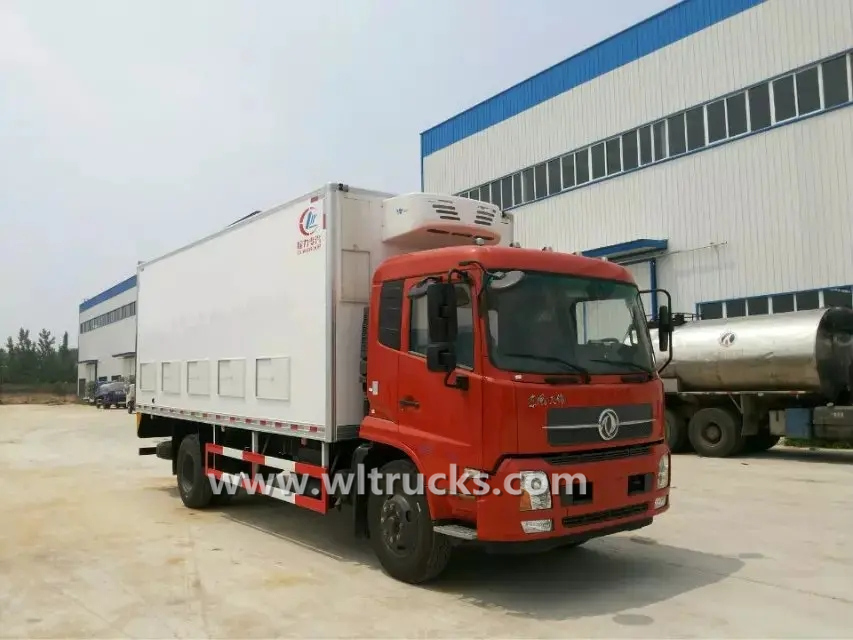 Dongfeng Kinrun 6.6m Chick transportation truck