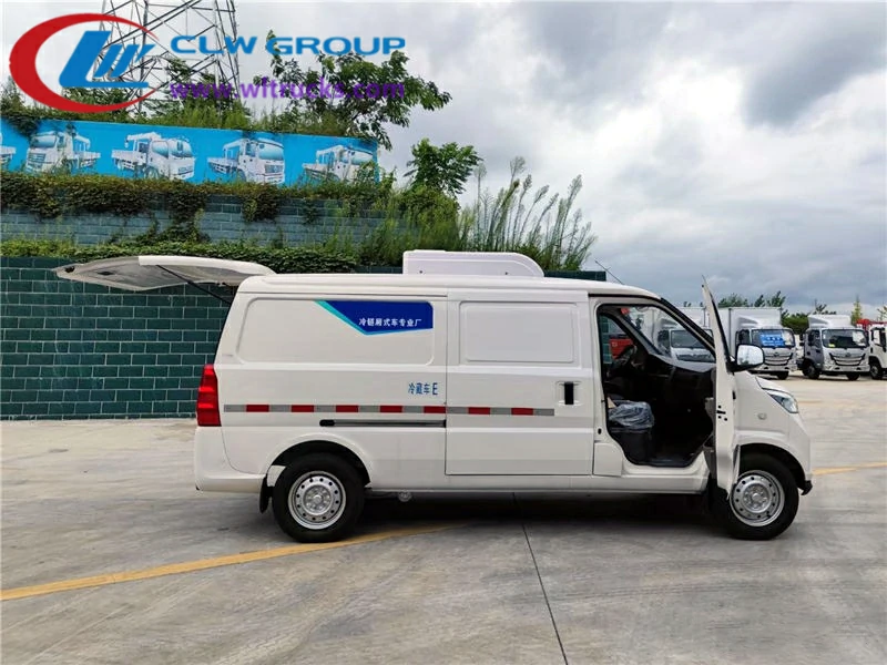 Small Electric Cold Chain Minibus 