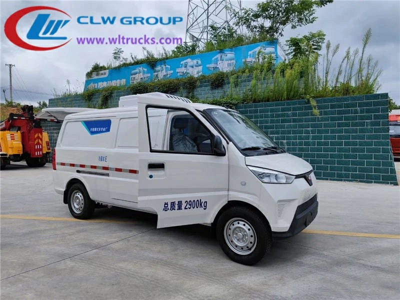 Wuling EV 50 Electric Cold Chain Vehicle