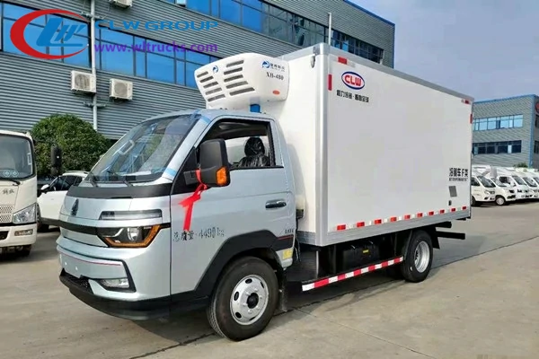 Howo mini refrigerated box truck Angola